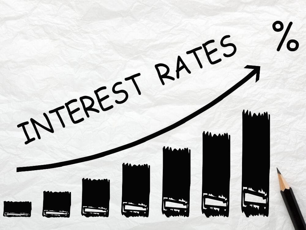 payday loans in store interest rate